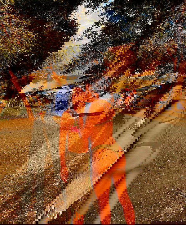 shirakor_ shirakor_ archive image