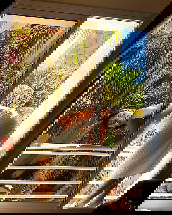 shirakor_ shirakor_ archive image