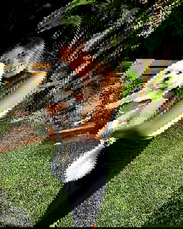 shirakor_ shirakor_ archive image