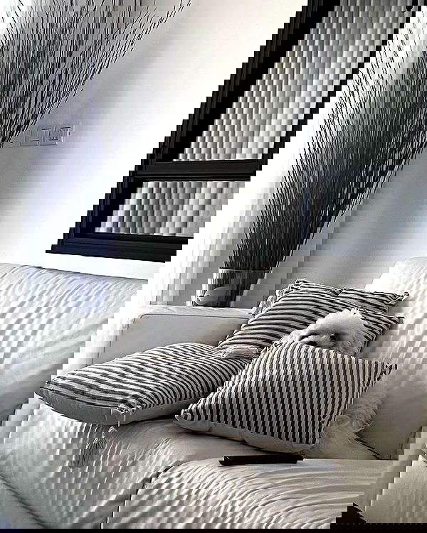 shirakor_ shirakor_ archive image