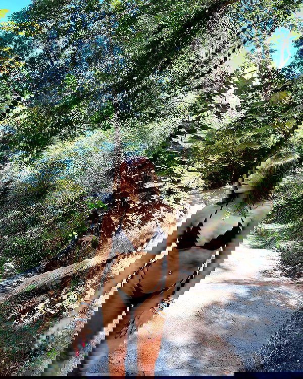 shirakor_ shirakor_ archive image