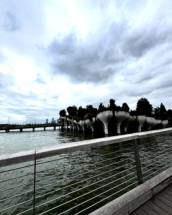 shiramansurii instagram image archive image