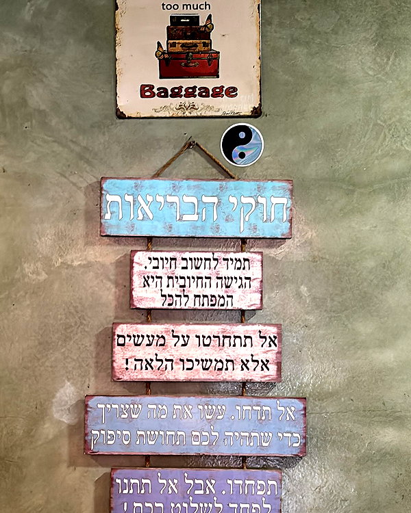 shirel.varol instagram image archive image