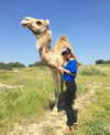 shirin_danin Altpins Profile Picture