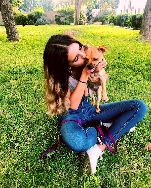 shirpolani instagram image archive image