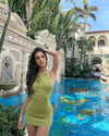 shirpolani Altpins Profile Picture