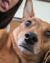 shirpolani Altpins Profile Picture