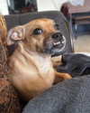 shirpolani Altpins Profile Picture