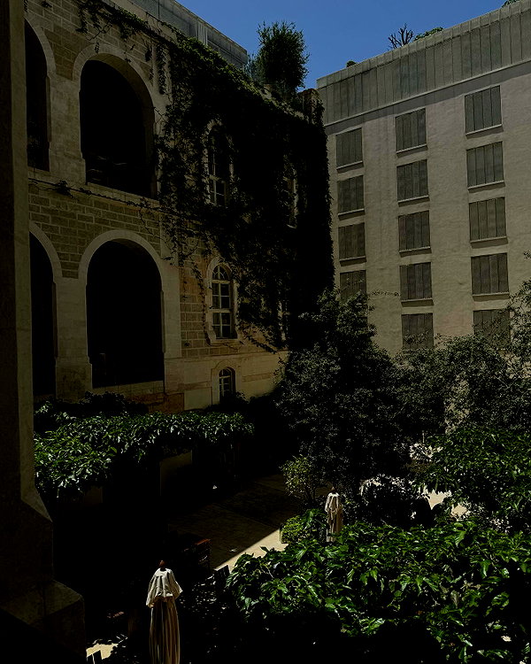 shovallchen instagram image archive image