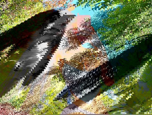 shunli__mei image ~ Altpins