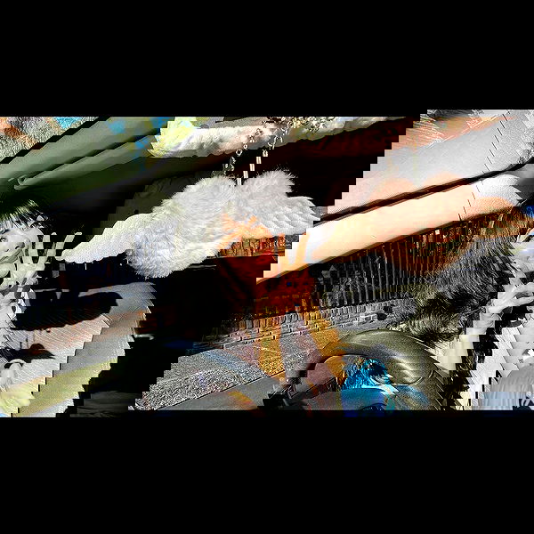 shunli__mei image ~ Altpins