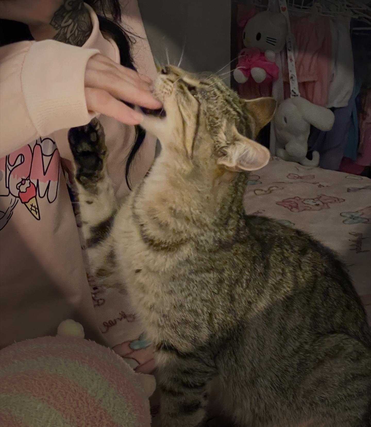 shunli__mei instagram image archive image