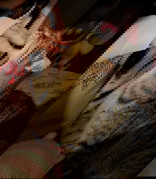 shunli__mei image ~ Altpins