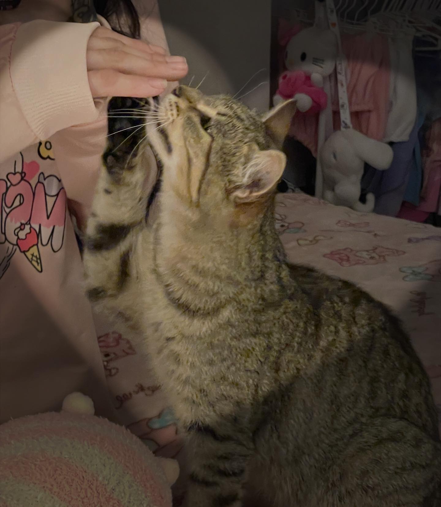 shunli__mei instagram image archive image