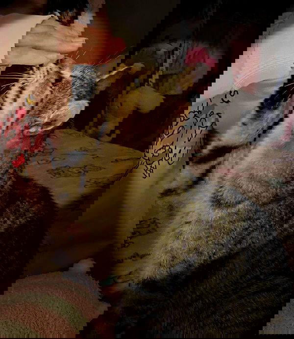 shunli__mei image ~ Altpins