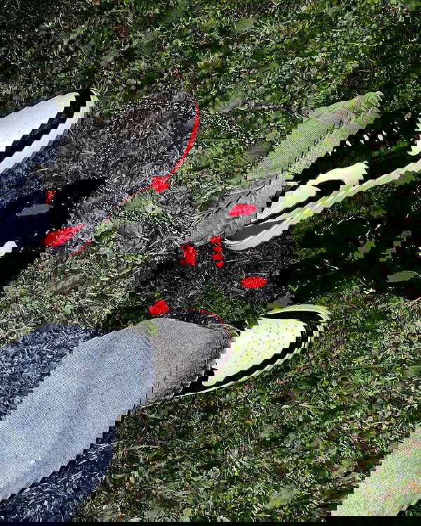 shunli__mei image ~ Altpins