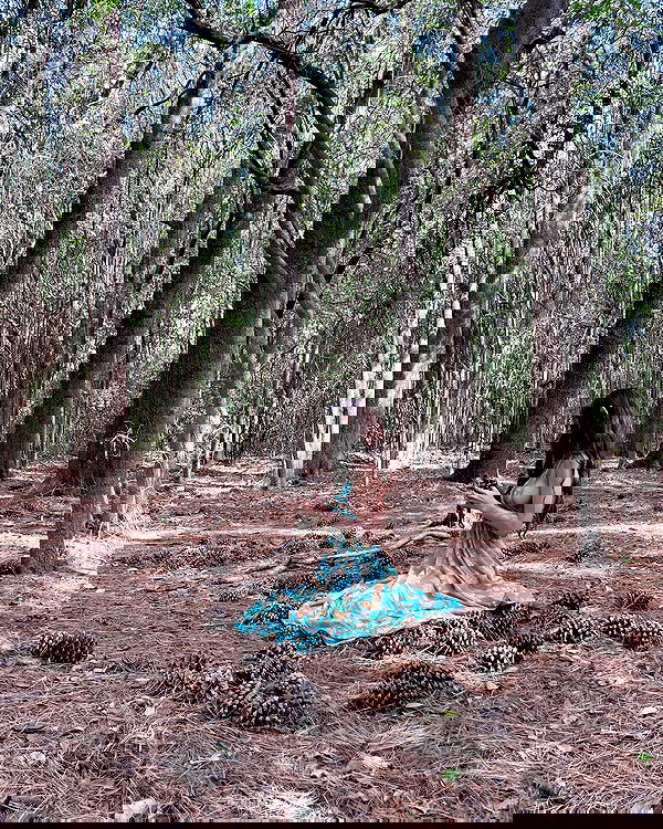 shunli__mei image ~ Altpins