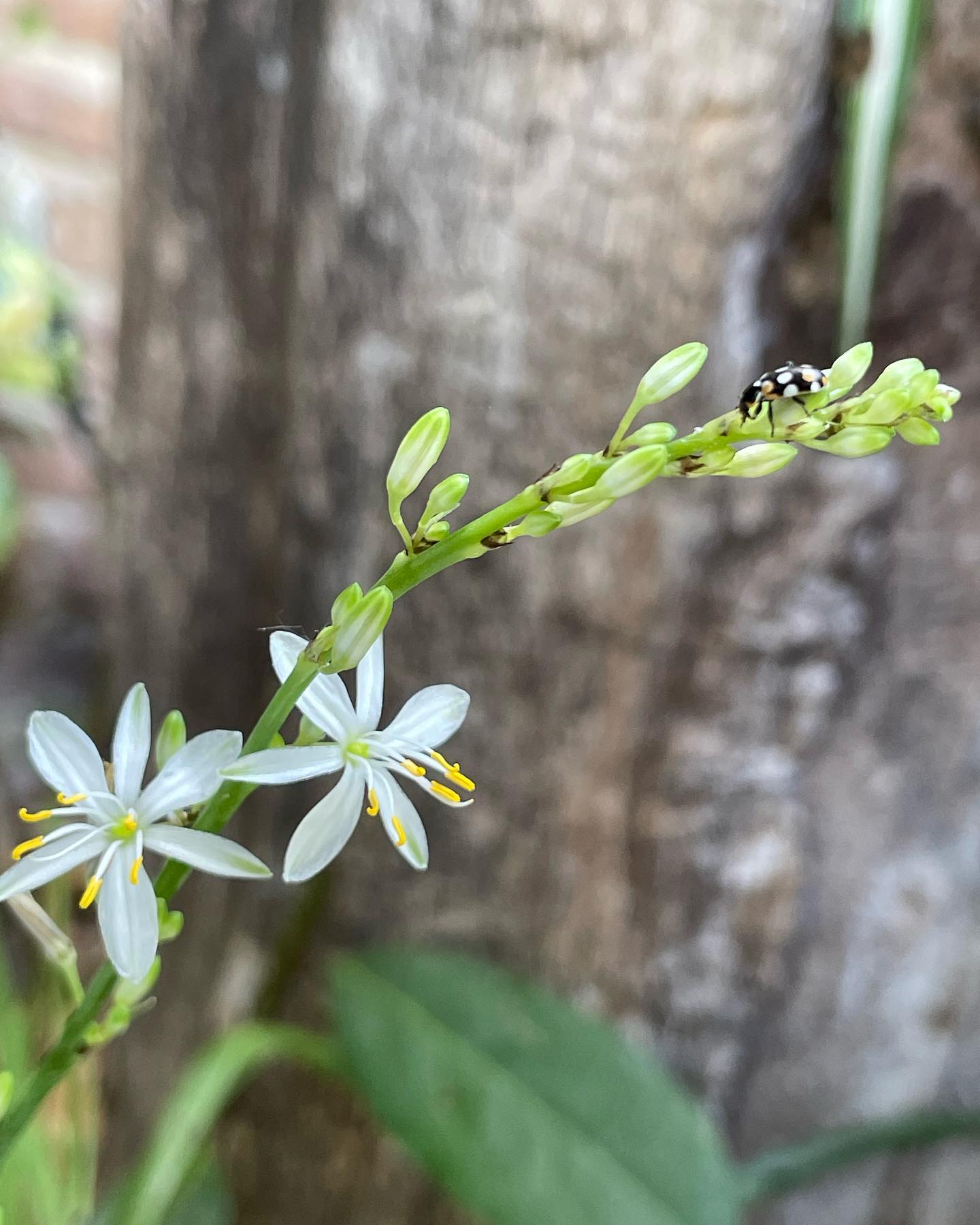 shunli__mei instagram image archive image