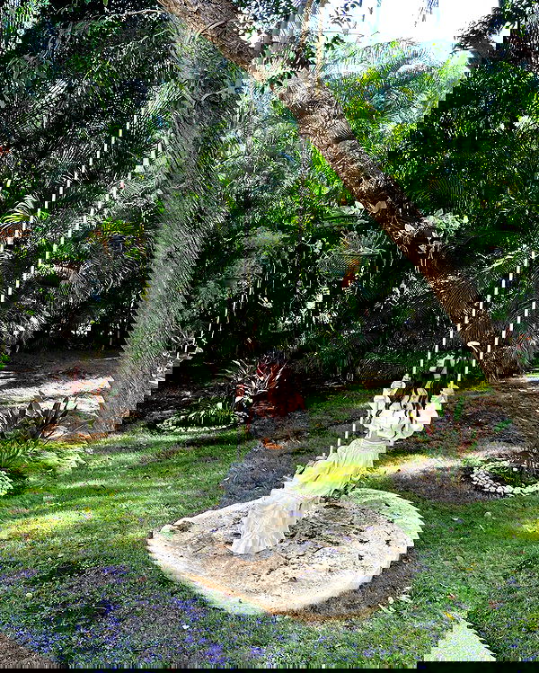 shunli__mei image ~ Altpins