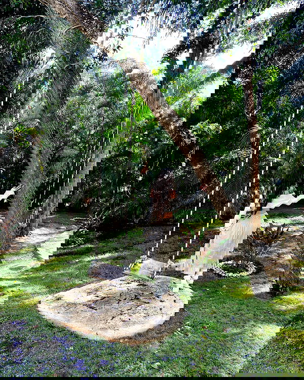 shunli__mei image ~ Altpins