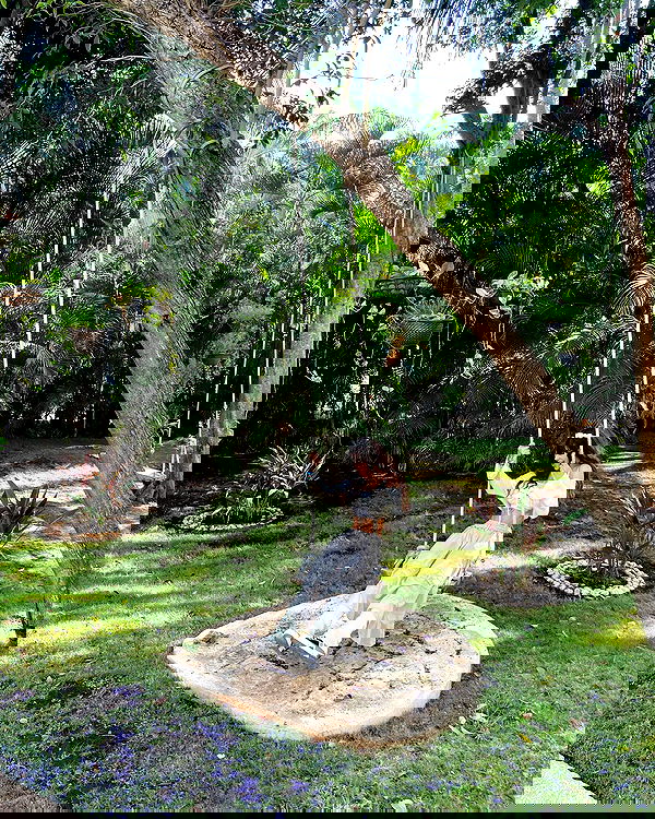 shunli__mei image ~ Altpins