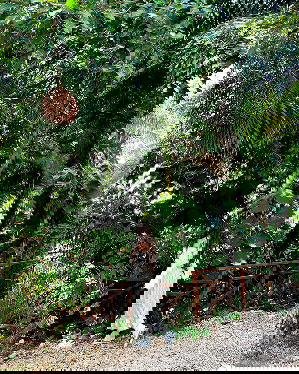 shunli__mei image ~ Altpins