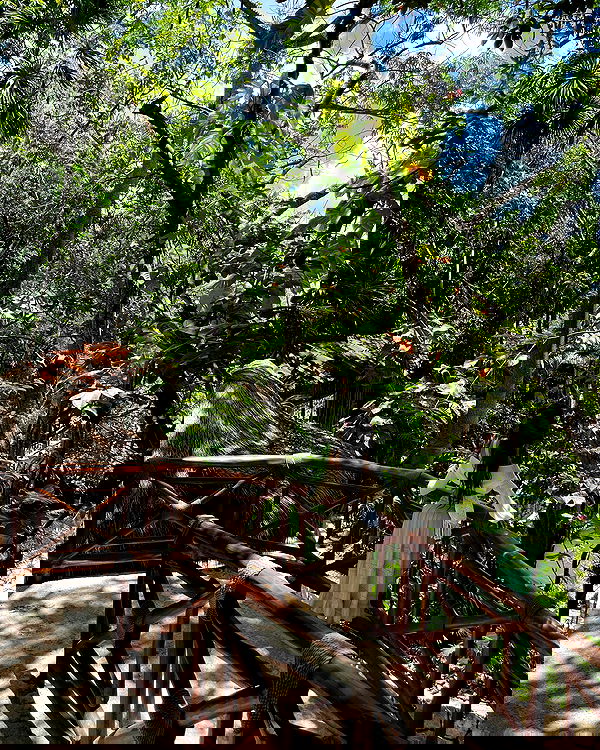 shunli__mei image ~ Altpins