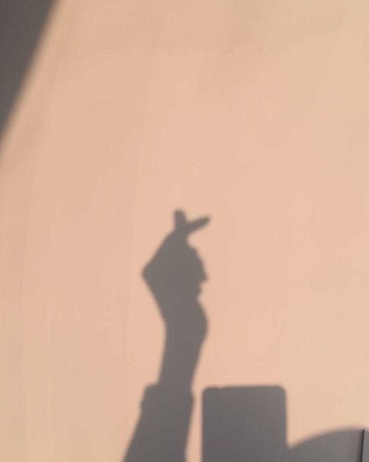 shunli__mei instagram image archive image