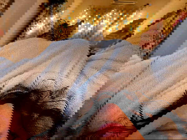 shunli__mei image ~ Altpins