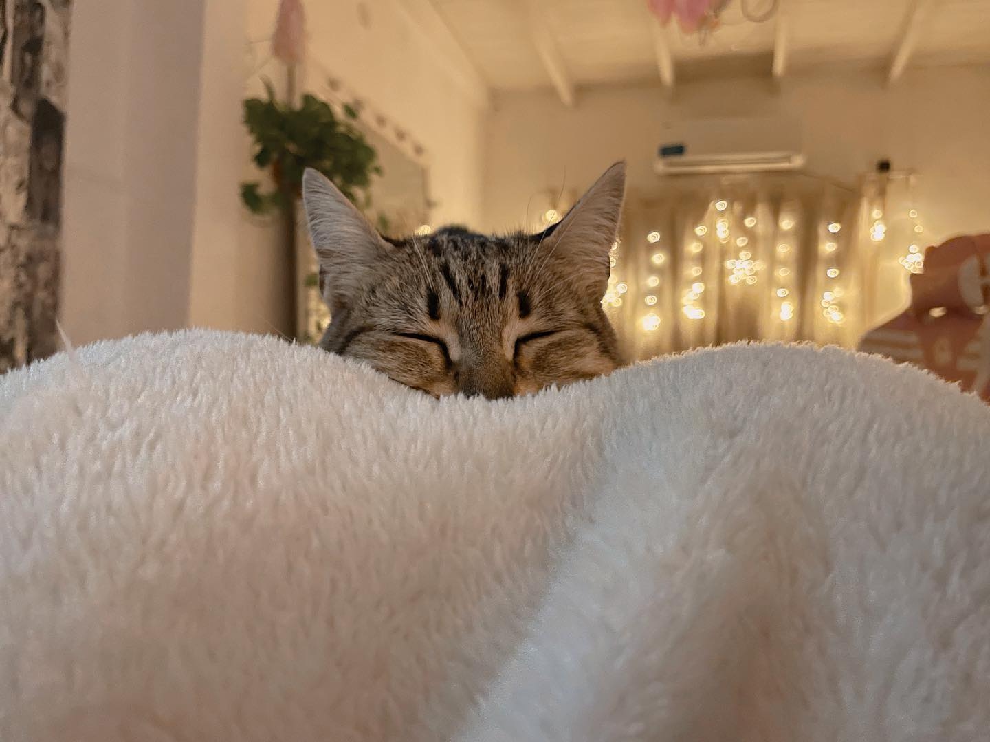 shunli__mei instagram image archive image