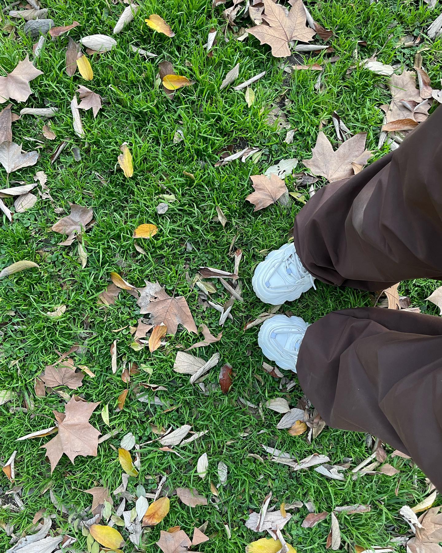 shunli__mei instagram image archive image