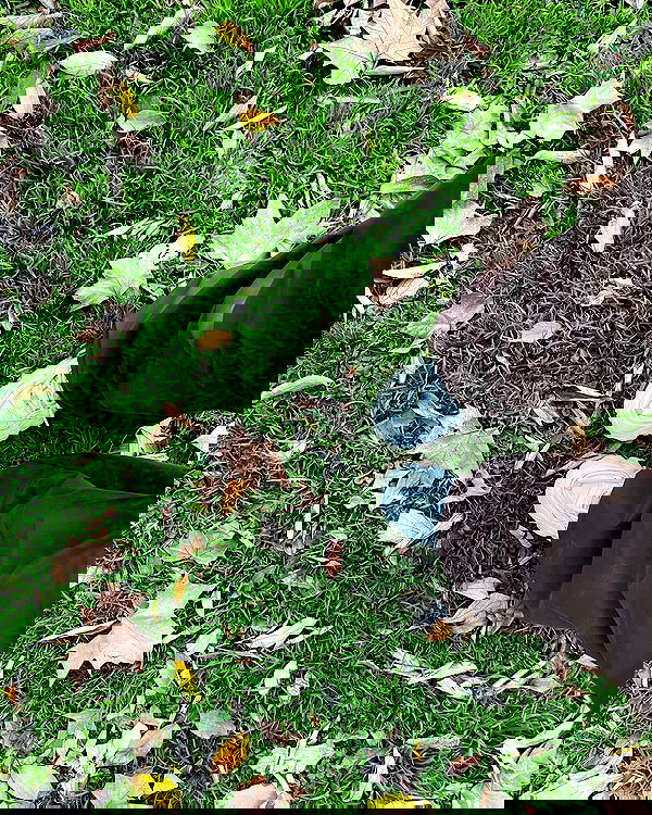 shunli__mei image ~ Altpins