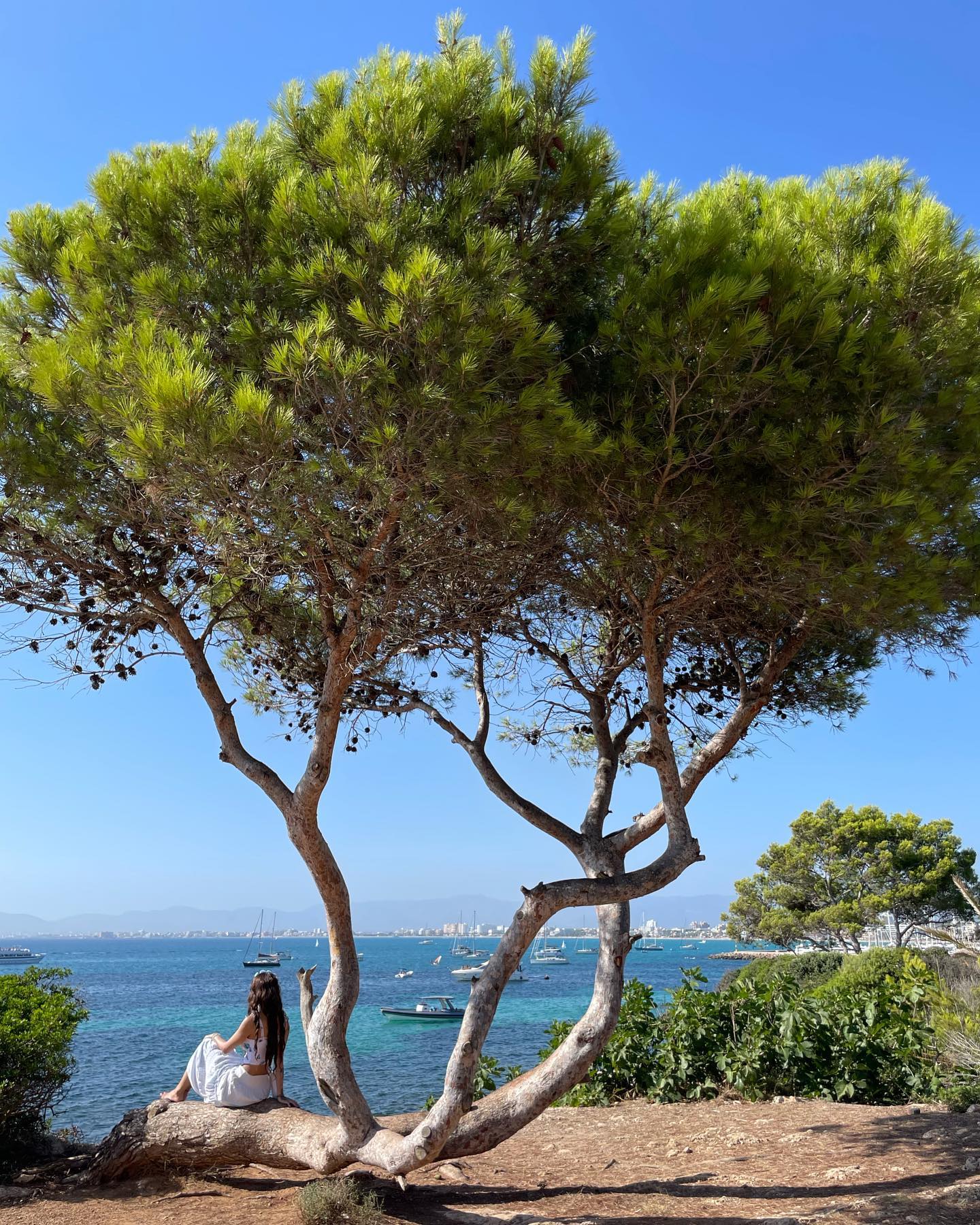 shunli__mei instagram image archive image