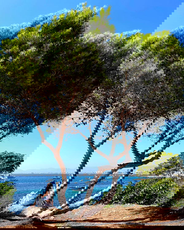 shunli__mei image ~ Altpins