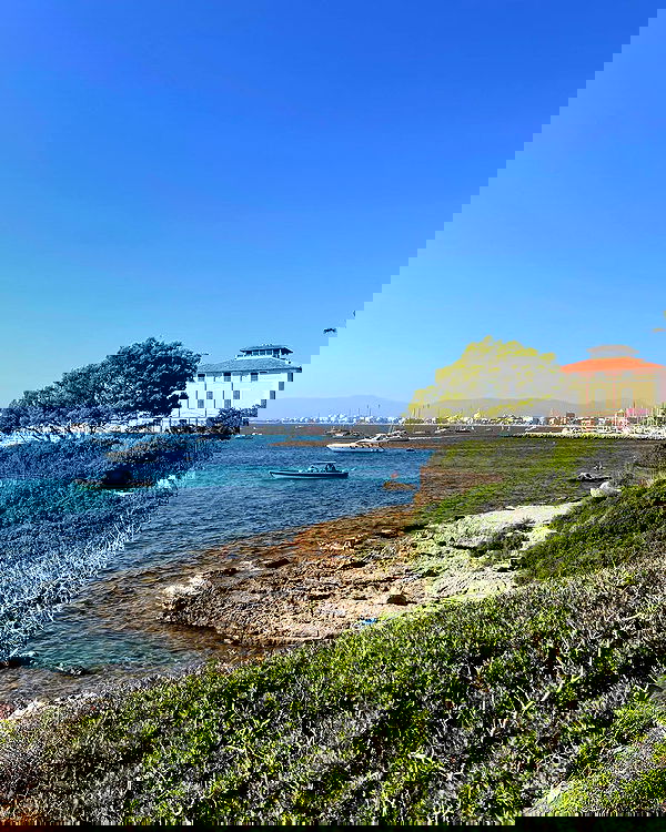 shunli__mei image ~ Altpins