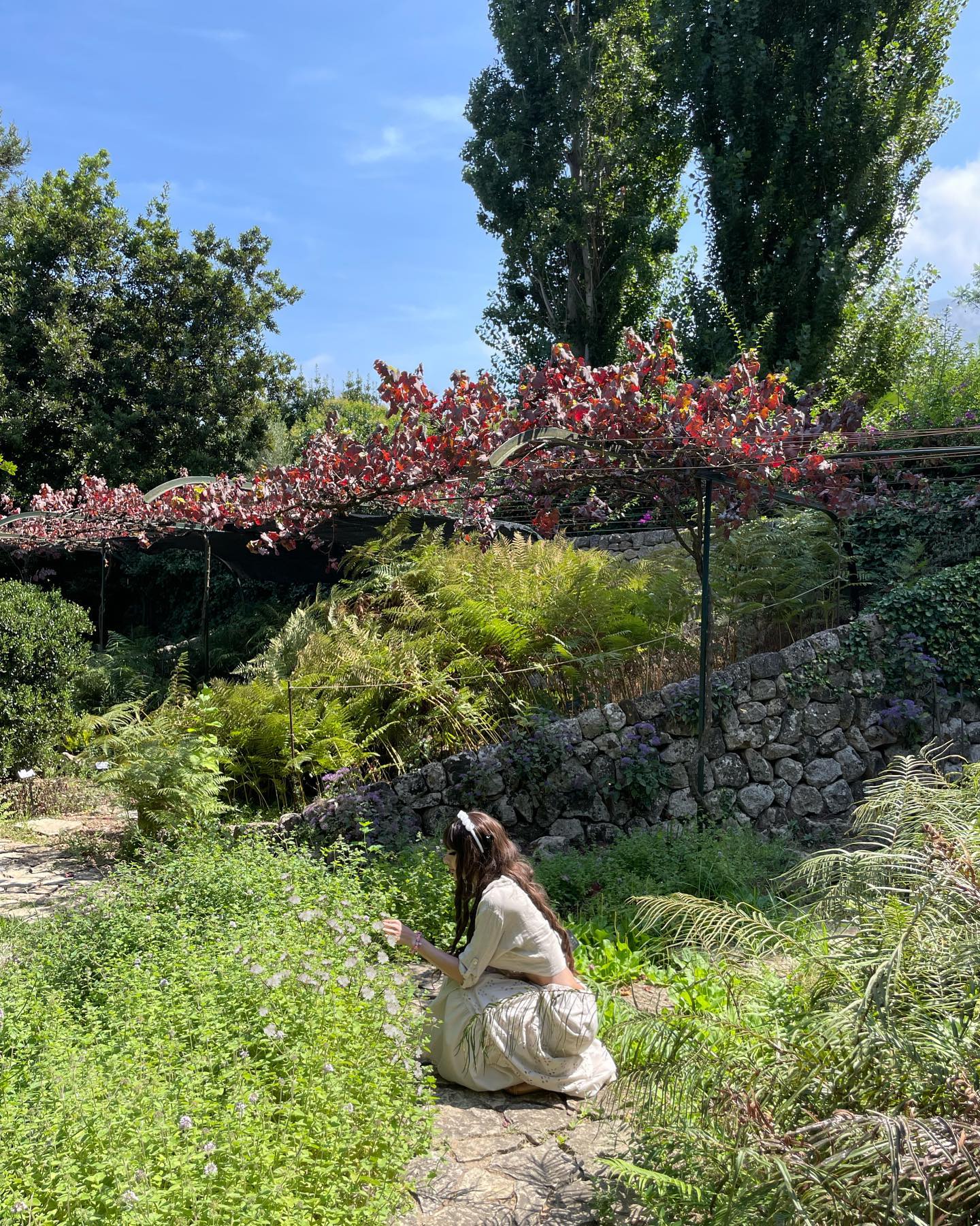 shunli__mei instagram image archive image