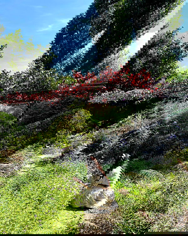 shunli__mei image ~ Altpins