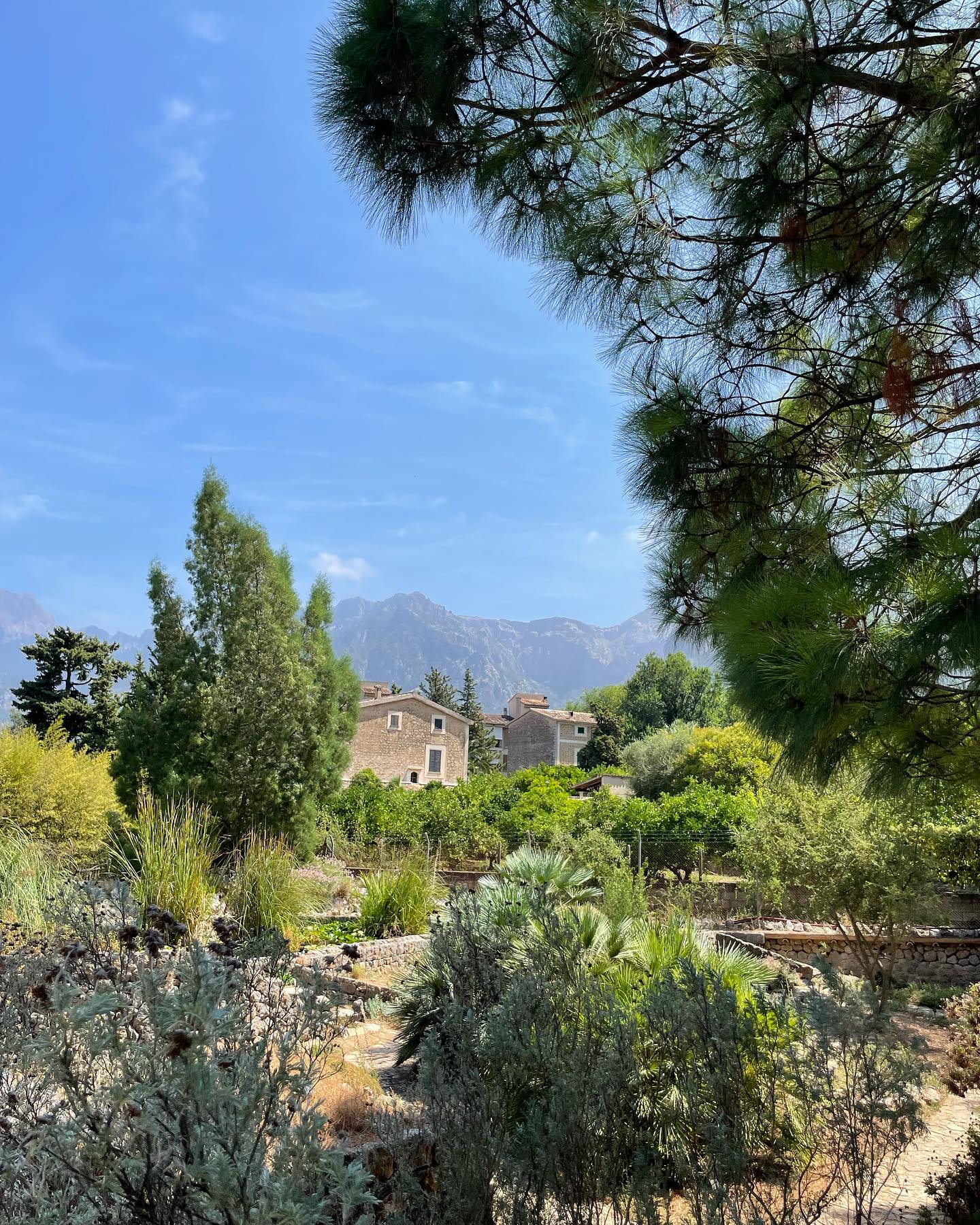 shunli__mei instagram image archive image