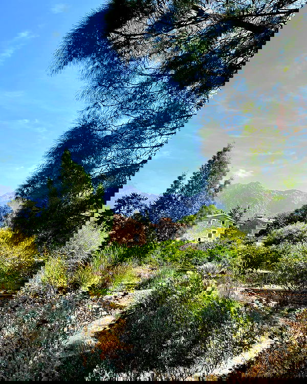 shunli__mei image ~ Altpins