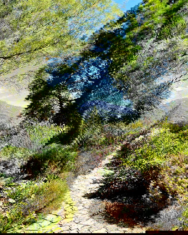 shunli__mei image ~ Altpins