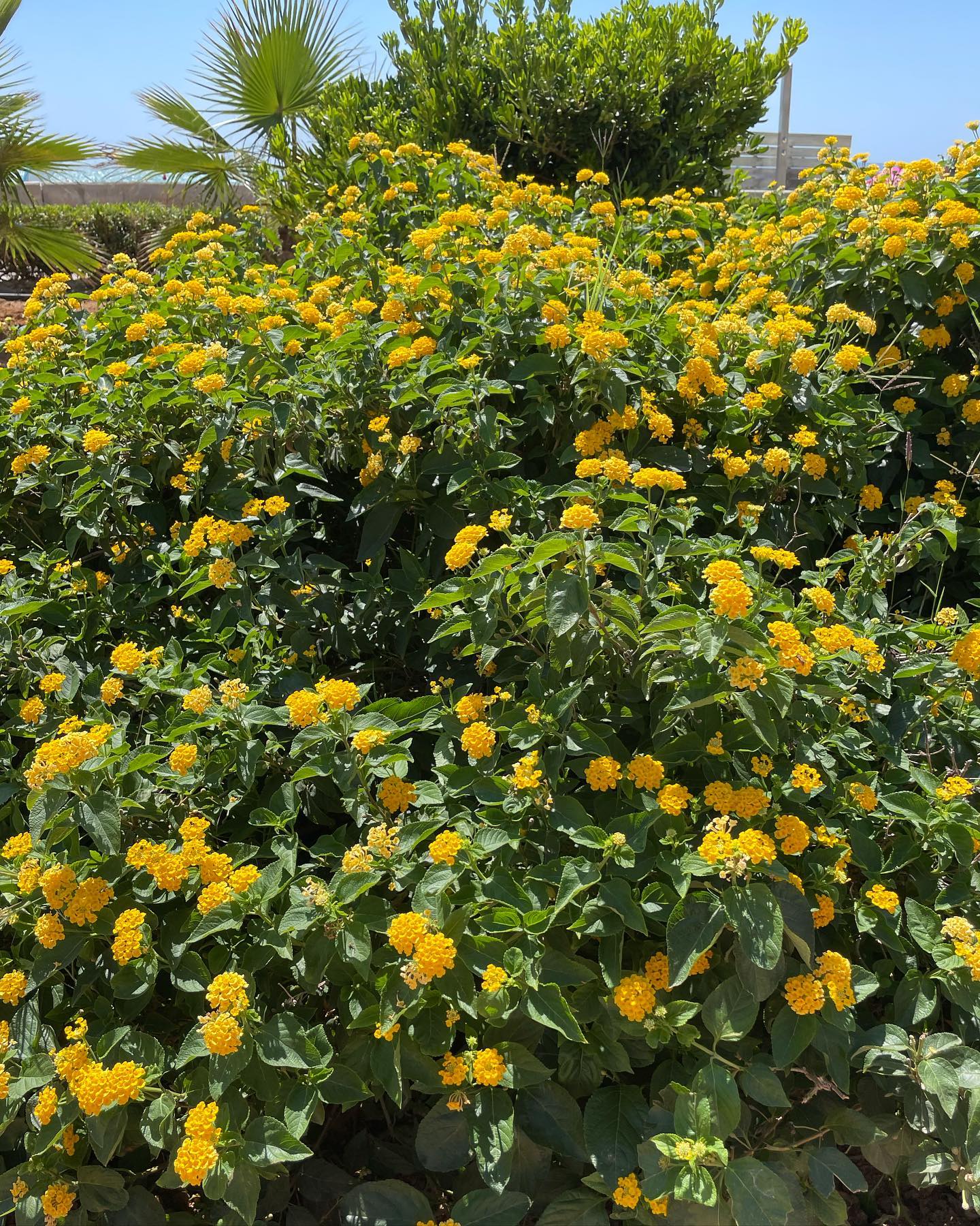 shunli__mei instagram image archive image