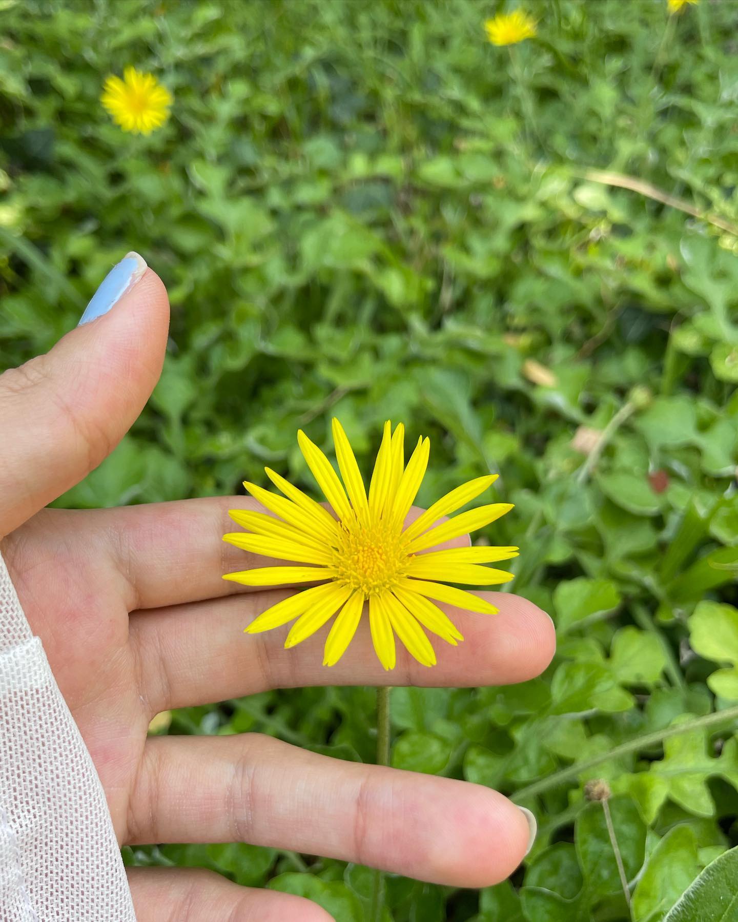 shunli__mei instagram image archive image