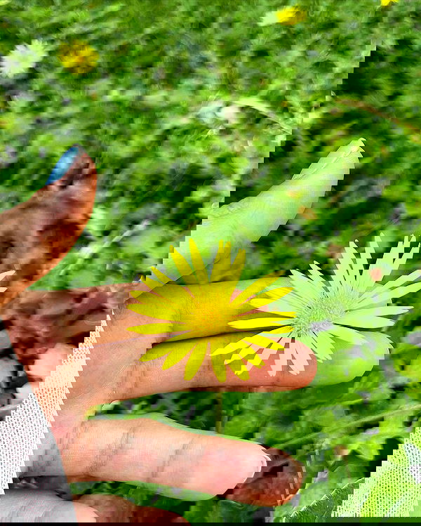 shunli__mei image ~ Altpins