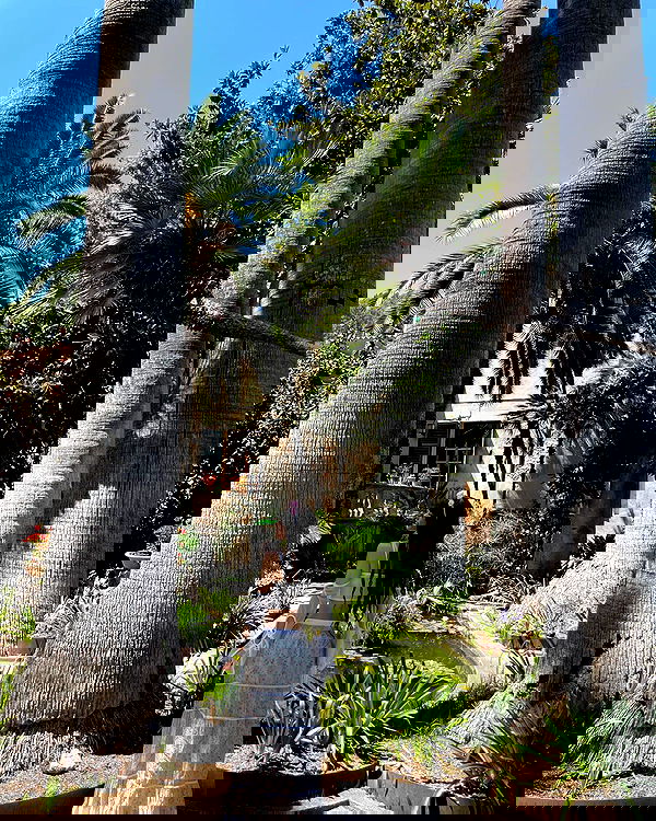 shunli__mei image ~ Altpins