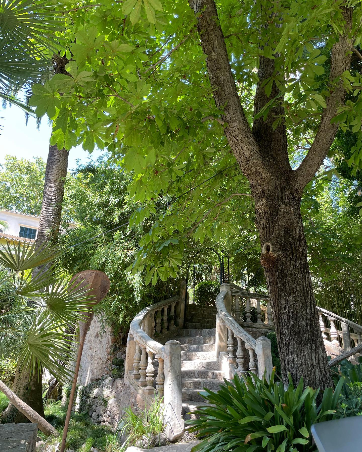 shunli__mei instagram image archive image