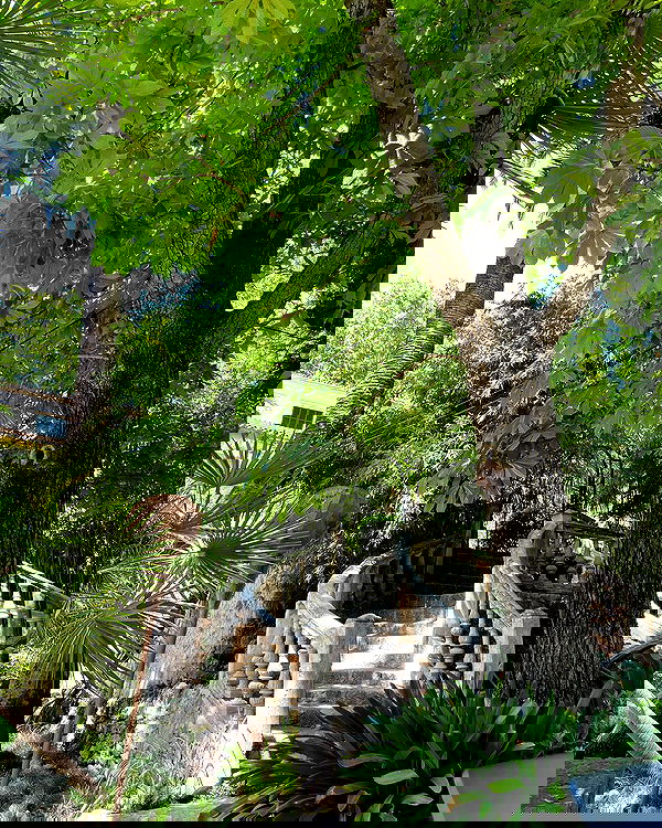 shunli__mei image ~ Altpins