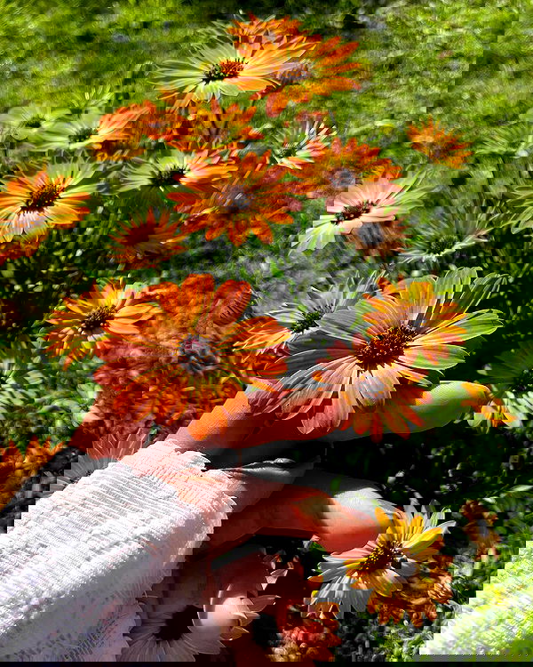 shunli__mei image ~ Altpins