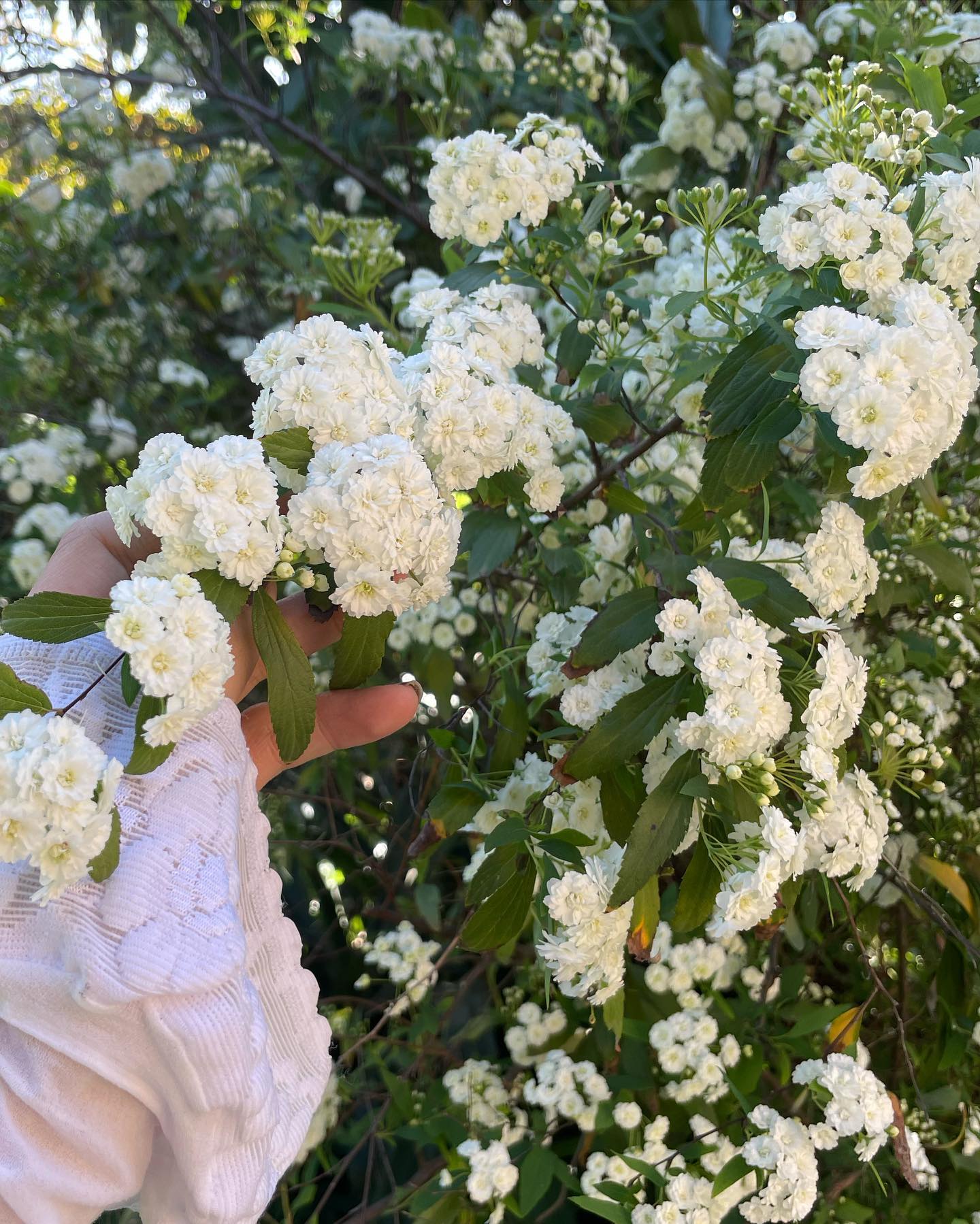 shunli__mei instagram image archive image