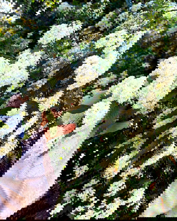 shunli__mei image ~ Altpins