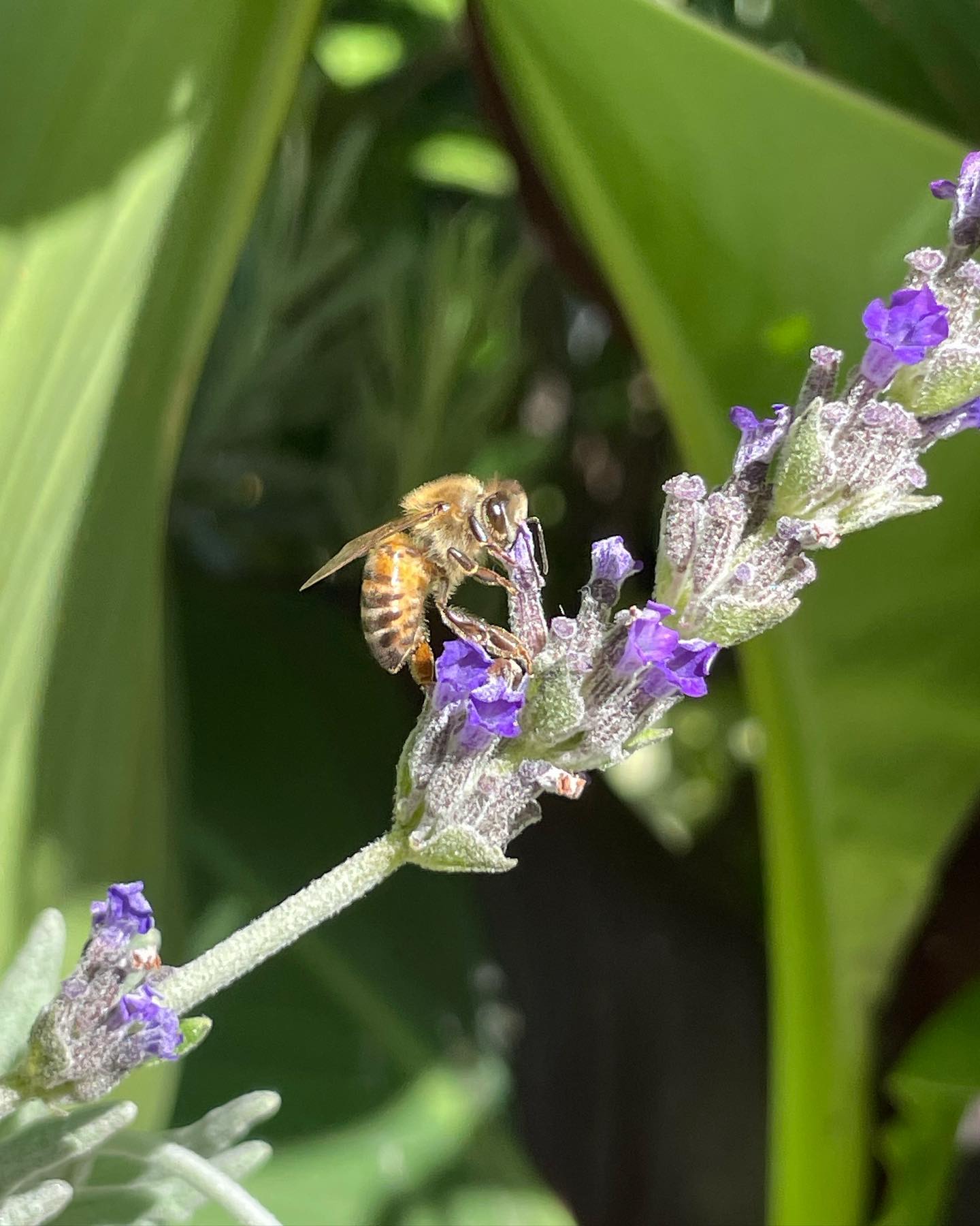 shunli__mei instagram image archive image